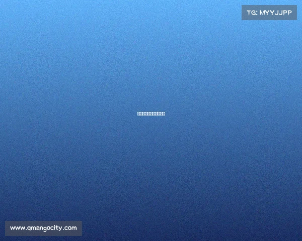 精武门综合格斗联赛直播